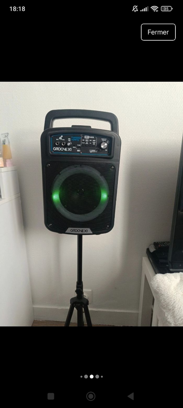 Enceinte sur pied - photo numéro 6