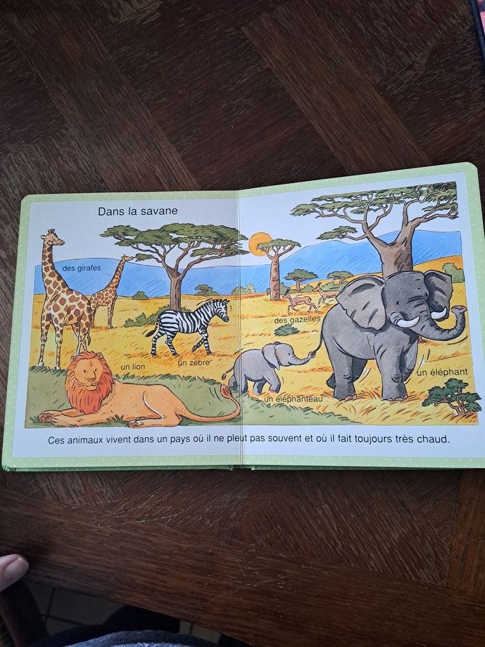 Livre - photo numéro 7