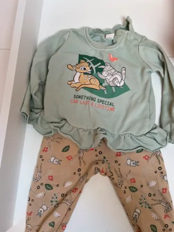 Ensemble Disney