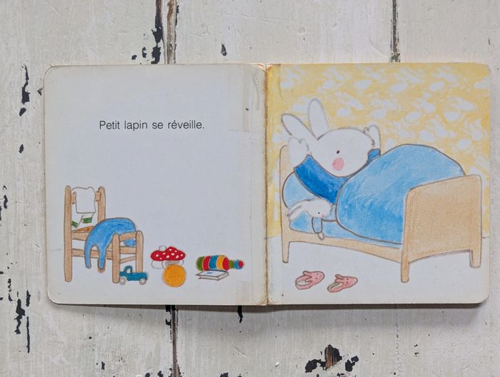 Une bonne journée ! - photo numéro 3