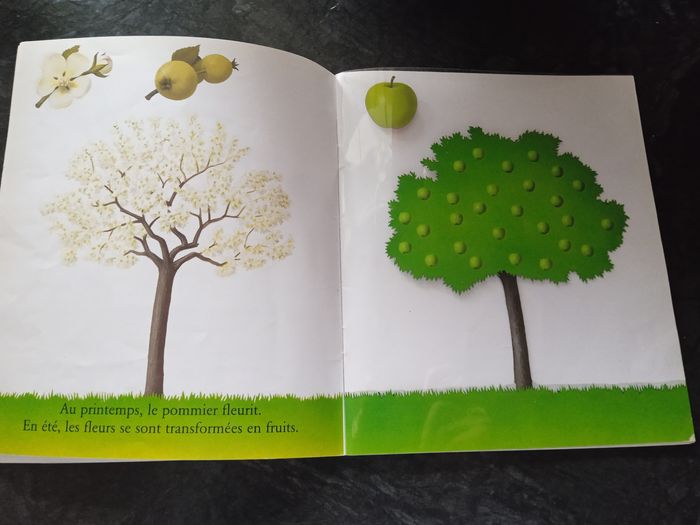 Mes livres magiques cache cache avec les fruits du jardin - photo numéro 6