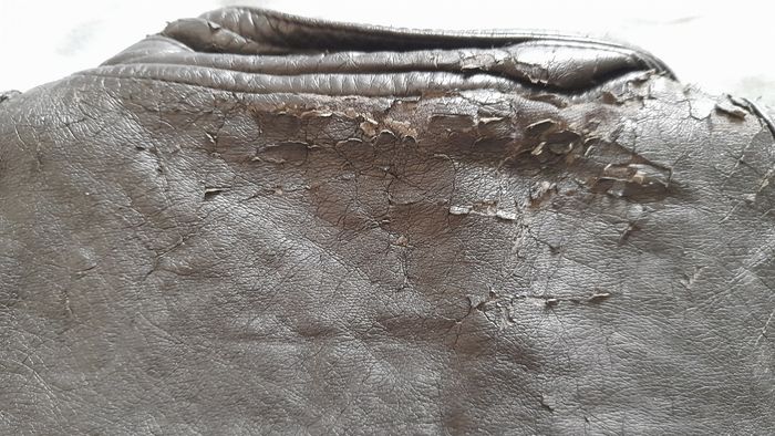 Blouson style motard - photo numéro 7