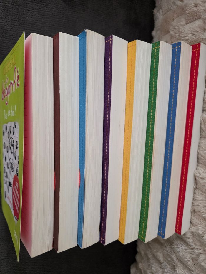 Lots de livres journal dun degonfle - photo numéro 3