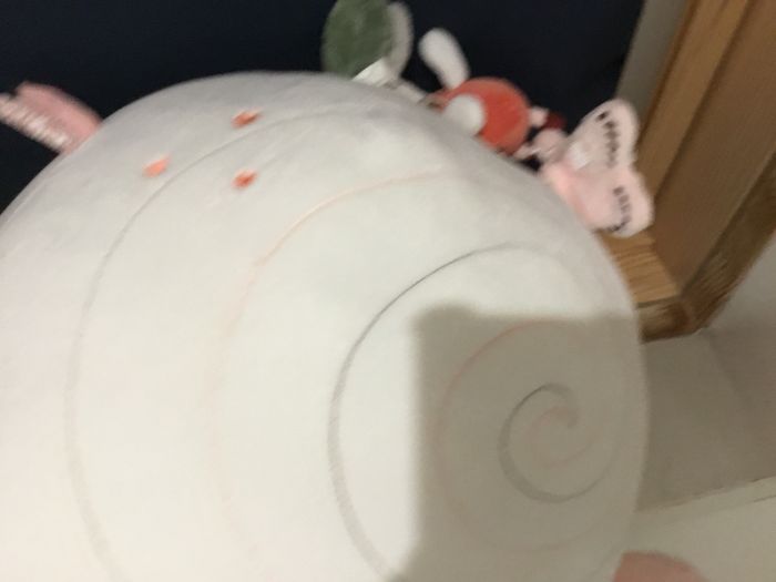 Escargot d eveil - photo numéro 2