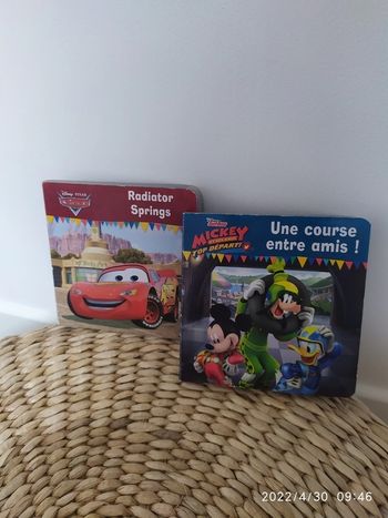 Lot 2 livres Disney