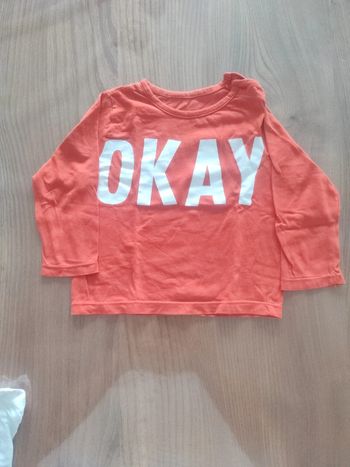 T-shirt manches longues garçon 18 mois