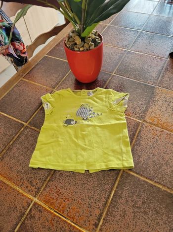 Tee shirt manches courtes