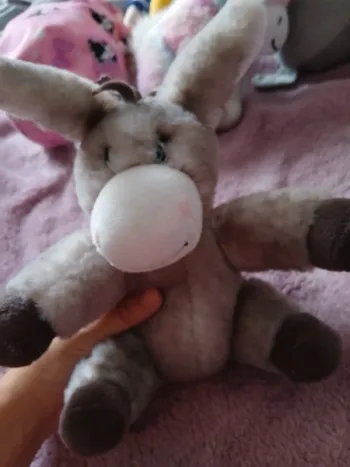 Peluche ane venant de corse