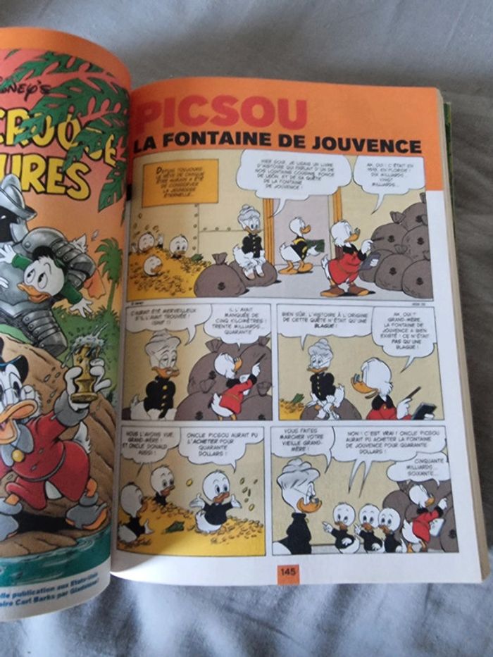 Lot 3 picsou - photo numéro 10