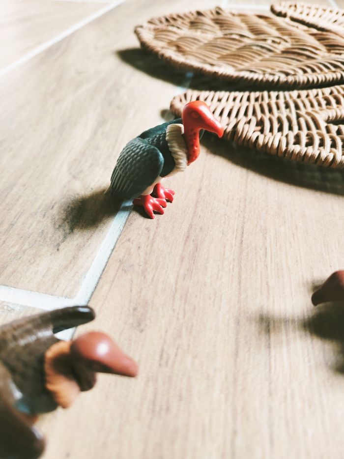 🦅Playmobil lot de figurines animaux vautours (MMS) - photo numéro 2