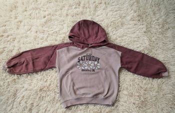 Sweat à capuche bicolore Vertbaudet - 8 ans (128 cm)