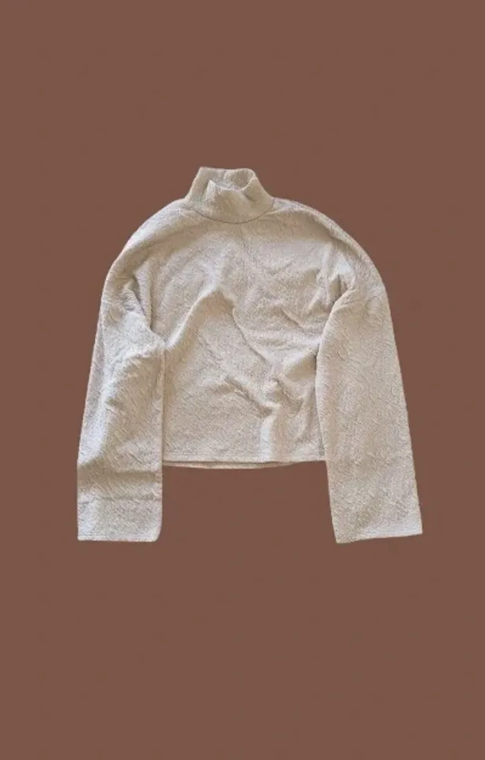 pull col roulé