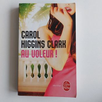 Livre - Au voleur !