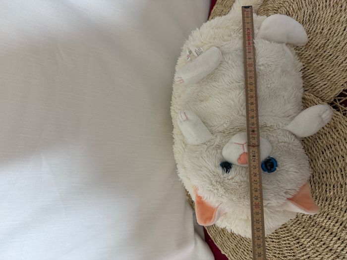 doudou chat persan blanc peluche cali pets dujardin - photo numéro 3