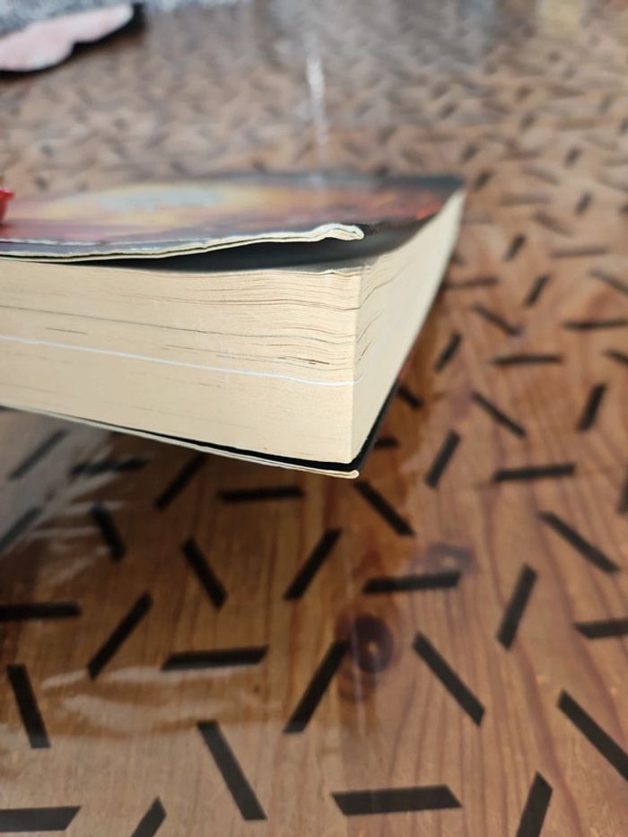 Livre frigiel et fluffy - photo numéro 12