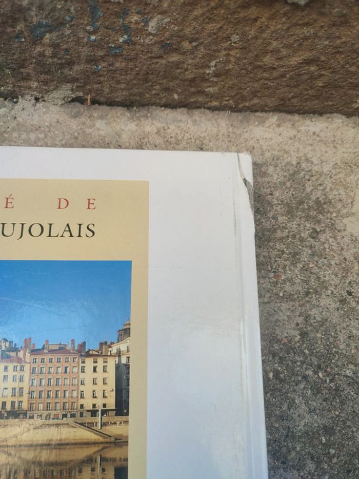 Livre beauté de Lyon et du beaujolais - photo numéro 11
