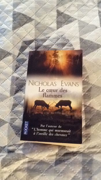#le coeur des flammes par Nicholas Evans