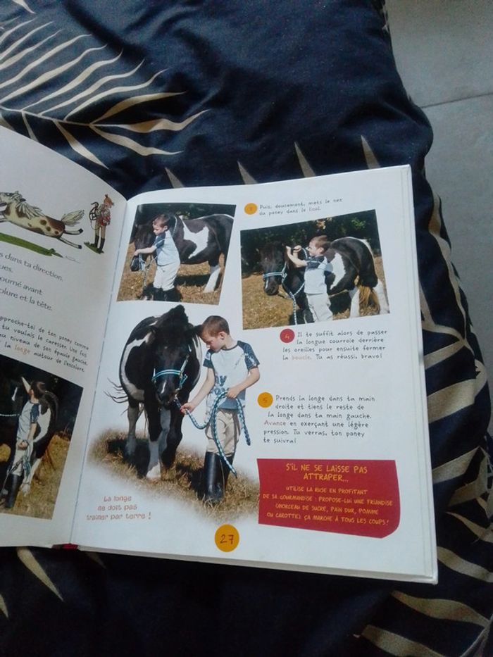 Les poneys - photo numéro 3