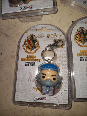 Porte clef Dumbledore harry potter pas de vinted go