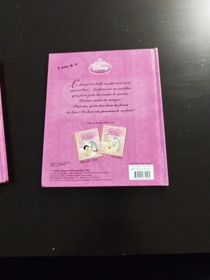 Lot 3 livres Disney princesses et chevaux - photo numéro 10