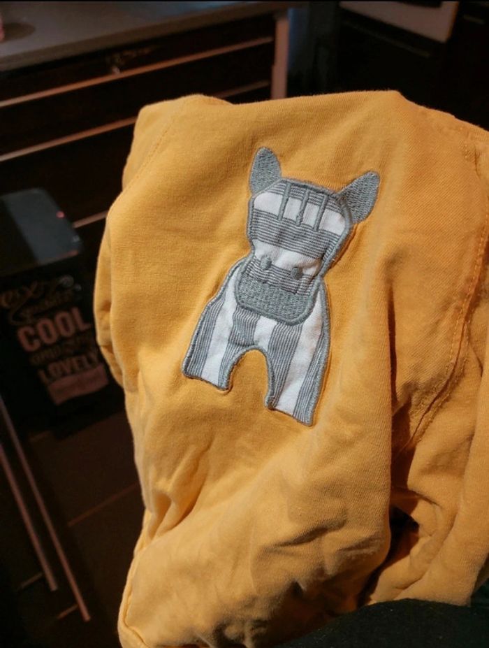 Veste jaune - photo numéro 5