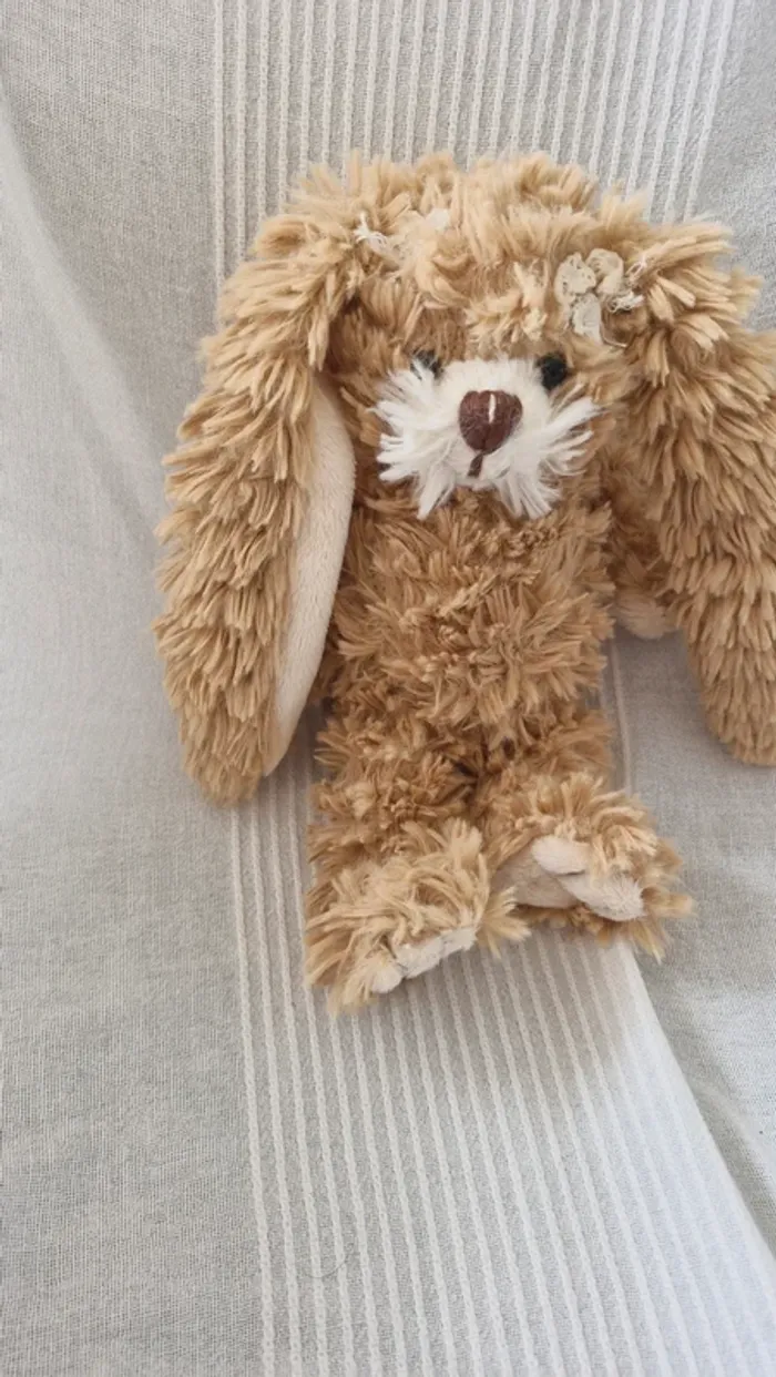 Lapin bukowski - photo numéro 8