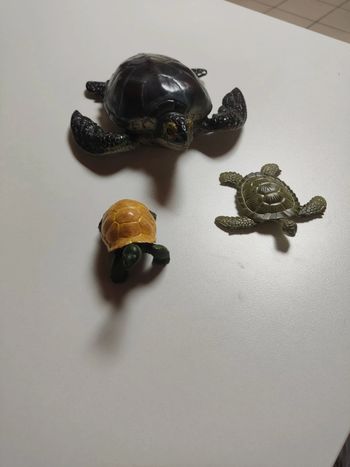 Lot de 2 tortues en plastique
