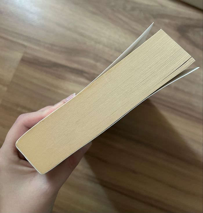 Lot de 4 livres thrillers / policiers - photo numéro 10