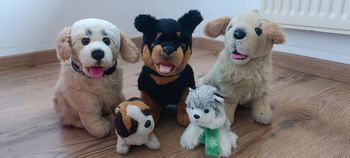 Lot peluche chien