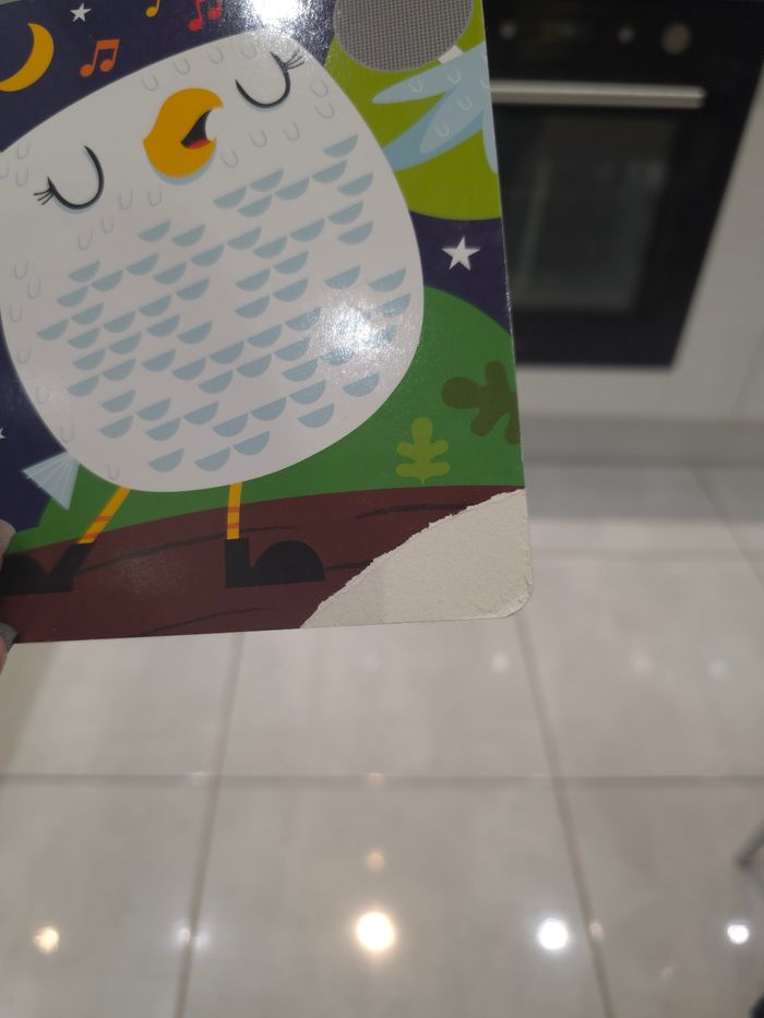 Joue avec des amis de l'hiver - photo numéro 7