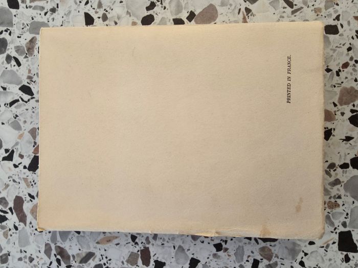 Les maîtres de la littérature américaine - photo numéro 2