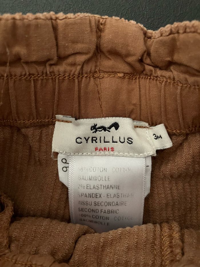 Short - photo numéro 2