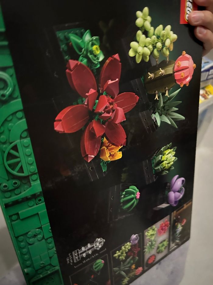 LEGO 10309 Les succulentes