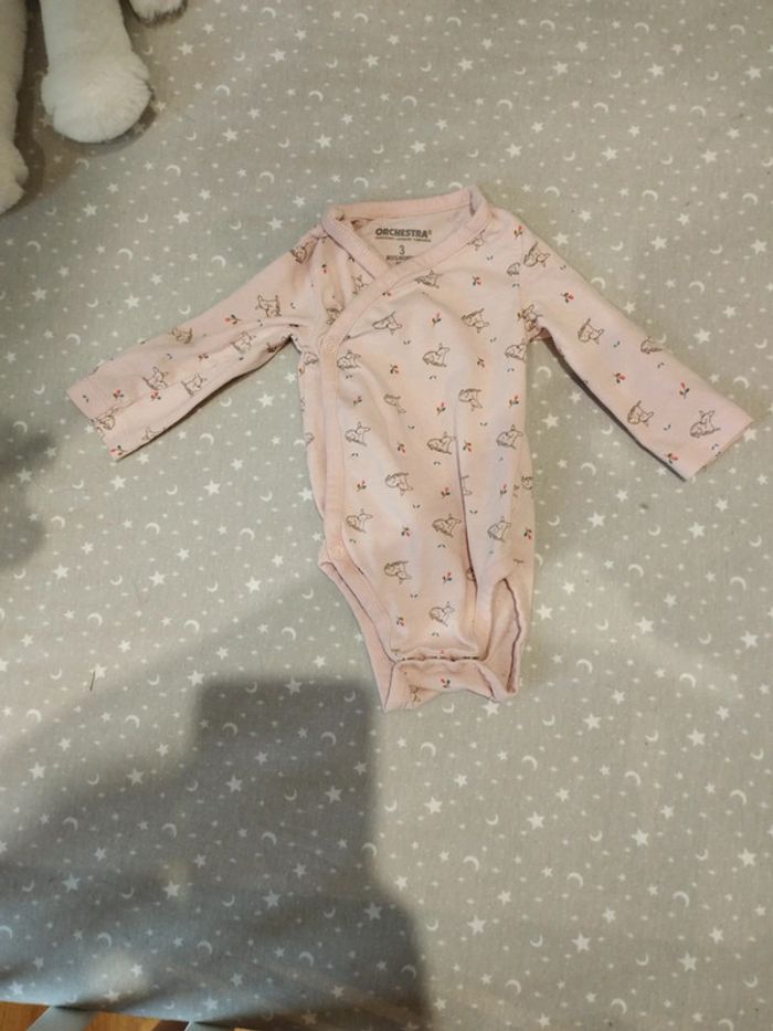 Lot bodies - photo numéro 2