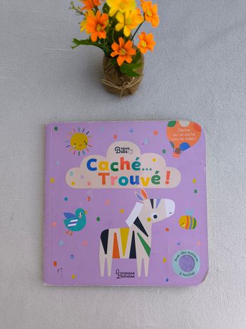 Livre Caché trouvé Larousse