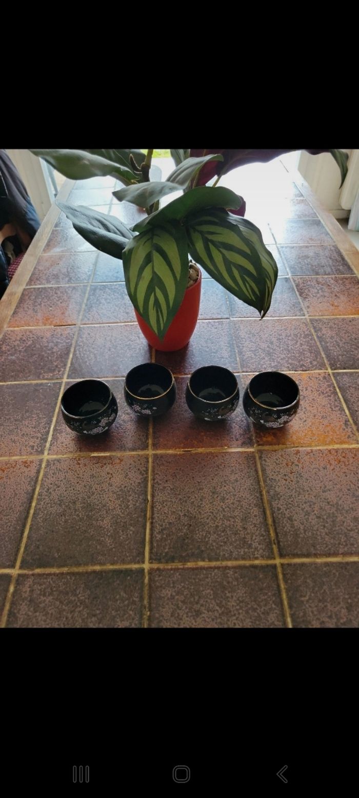 Lot 4 soucoupes paon
