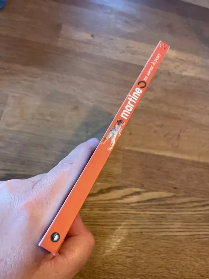 Livre Martine un amour de poney - photo numéro 2