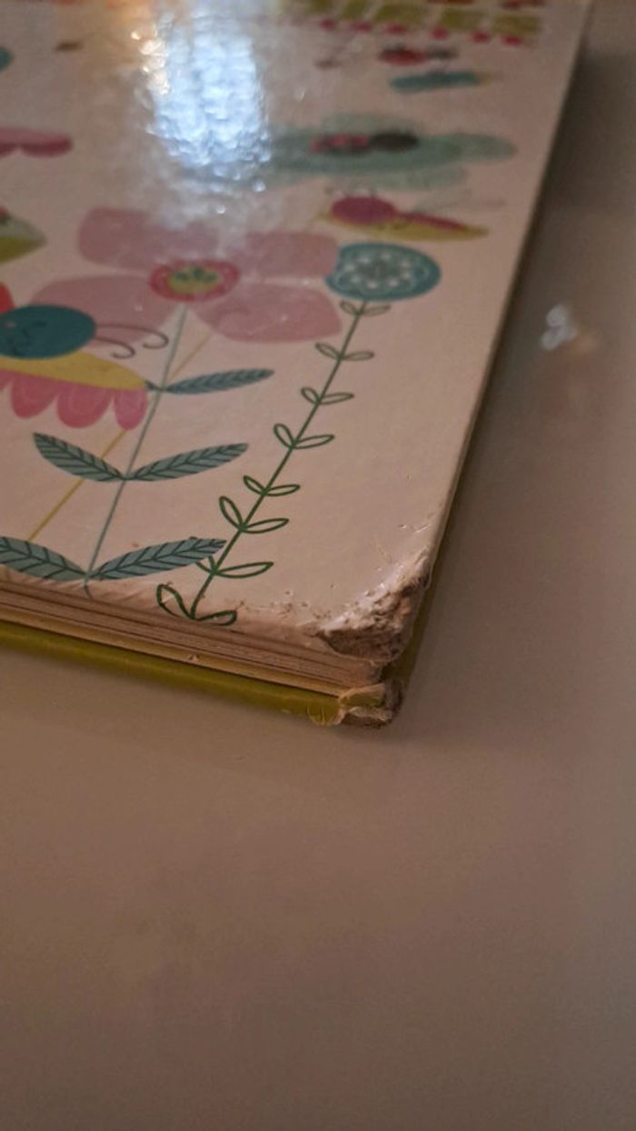 Livres Éditions Lito - photo numéro 6