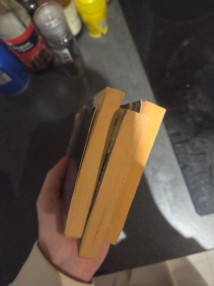 Lot de livre clive baker apocalypse prison de chair la mort la vie son oeuvre - photo numéro 6