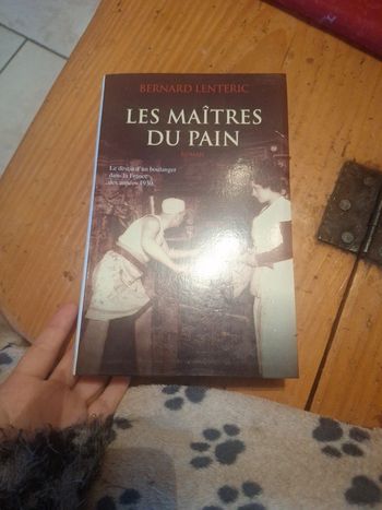 Livre roman pain