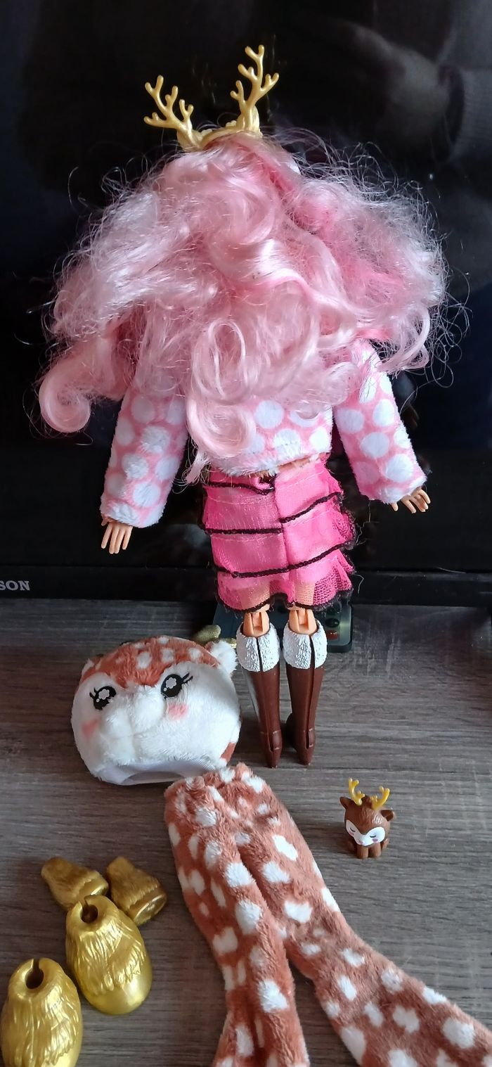 Barbie renne - photo numéro 4