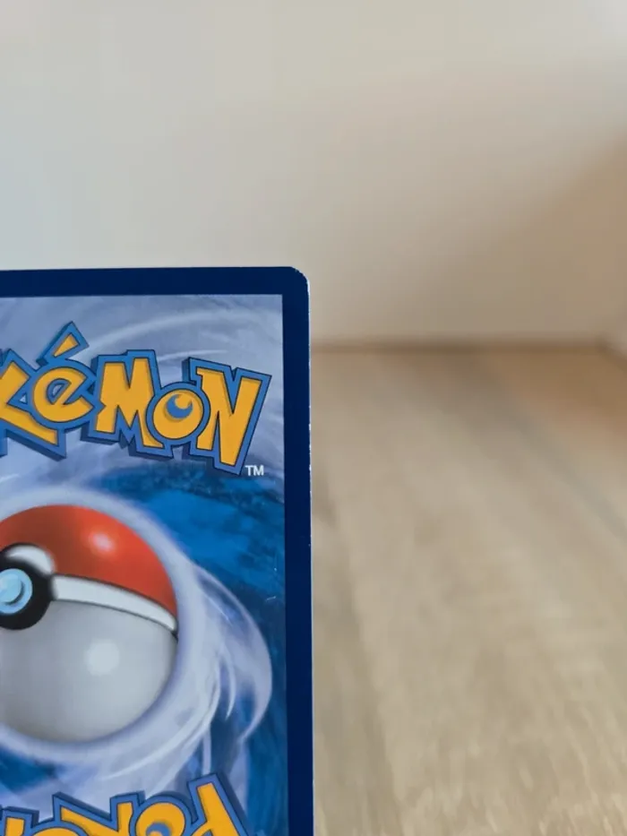 Evoli 12/12 - photo numéro 8