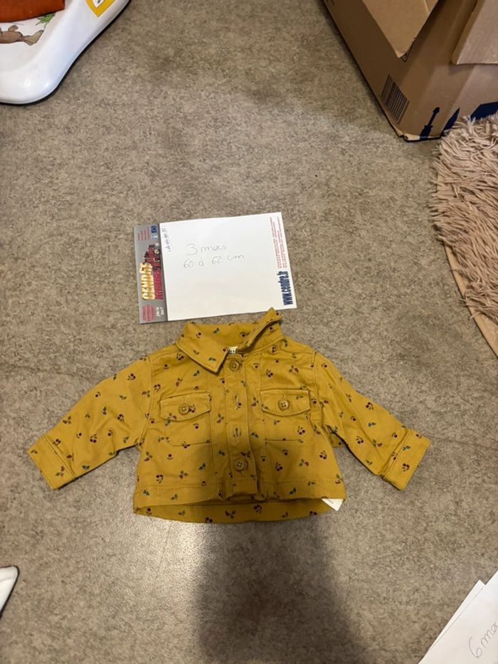 Veste