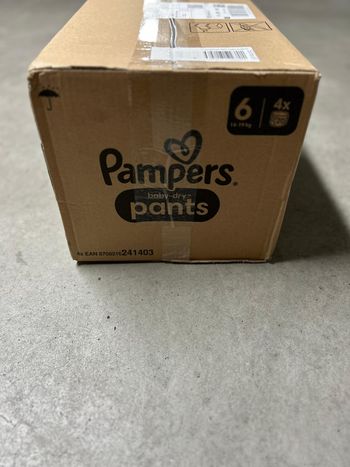 Couche Taille 6 BabyDry Pants