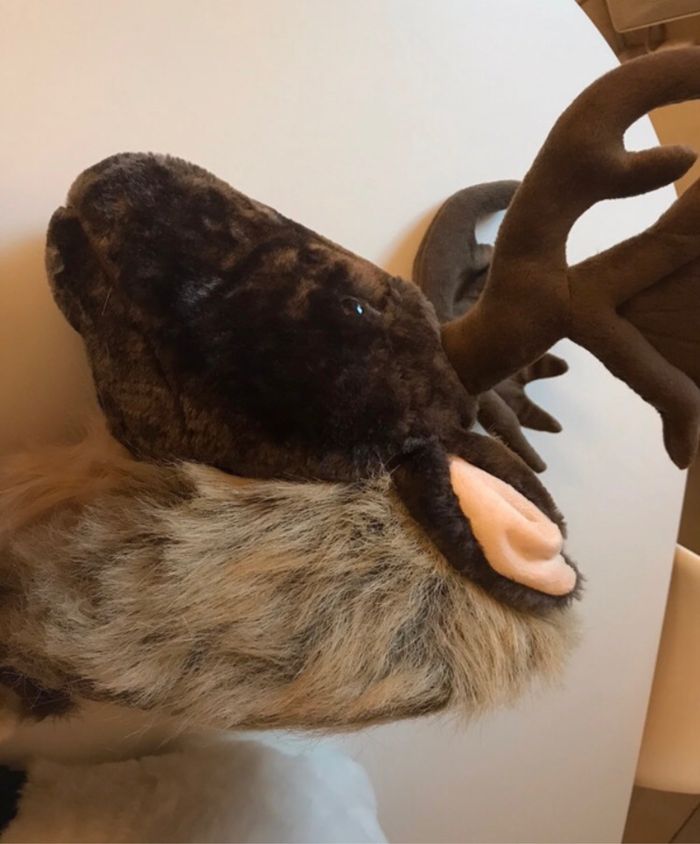 Trophée - lot de 3 - photo numéro 7