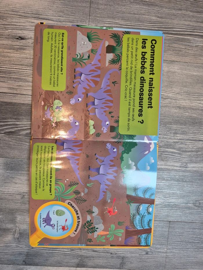 Livre dinosaure - photo numéro 3