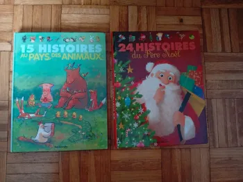Lot de 2 livres d'histoires pour le soir