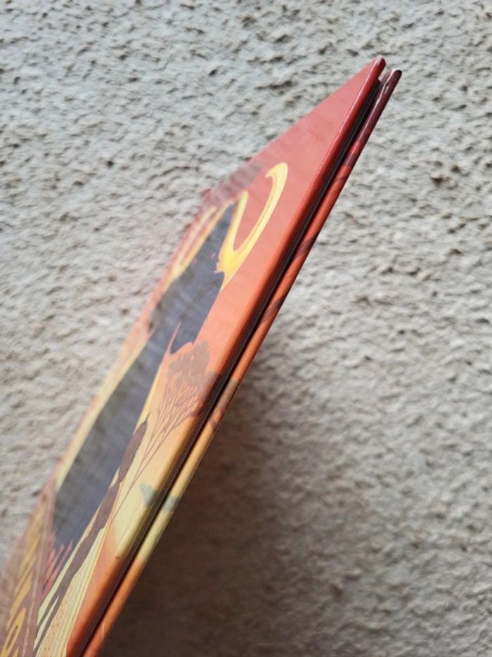 Livre enfant Kirikou et le buffle aux cornes d'or de Michel Ocelot - photo numéro 3