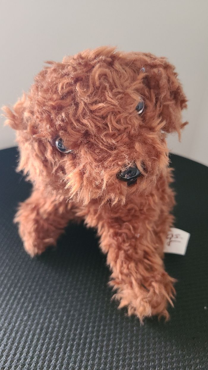 Nintendogs - photo numéro 8