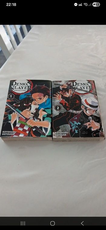 Lot de 2 mangas Demon Slayer tome 1 et 2